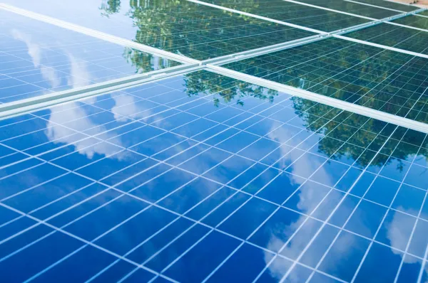 Панели солнечных батарей с отражением дерева — стоковое фото